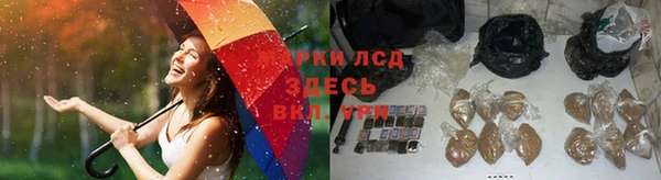 PSILOCYBIN Киренск