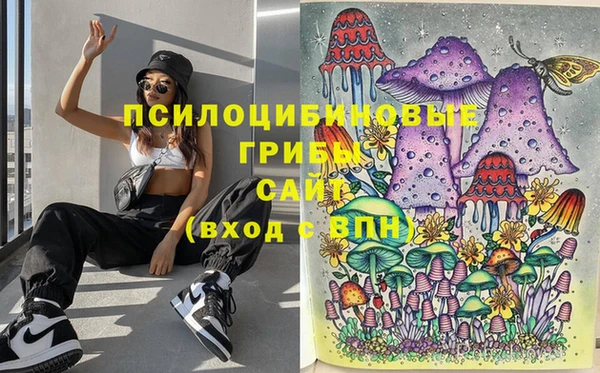 трава Кинешма