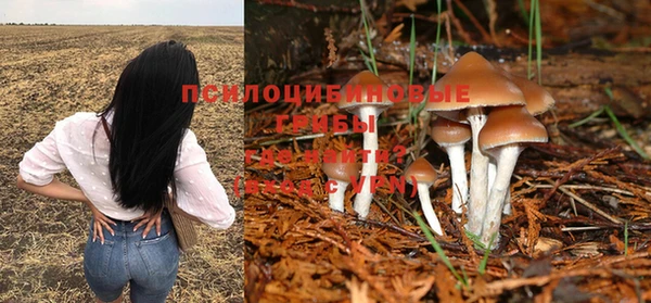 трава Кинешма