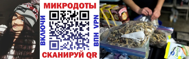 Купить  Оханск  Псилоцибиновые грибы Cubensis 